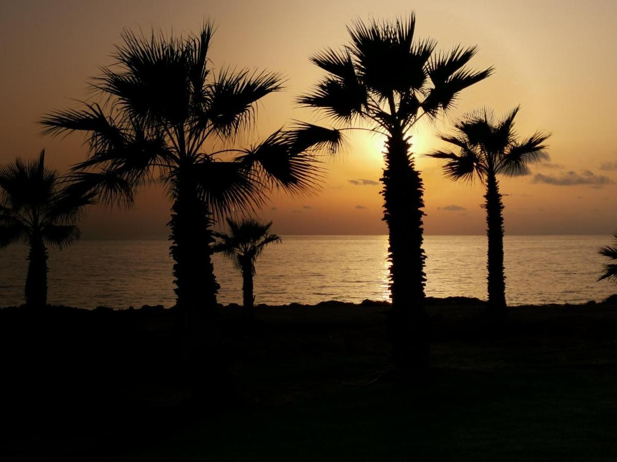 דירות Paphos 103 Regina Gardens מראה חיצוני תמונה